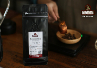 Flavor Profile of Ethiopia Guji Uraga Coffee Beans: TOH Washed Champion Brewing Parameters