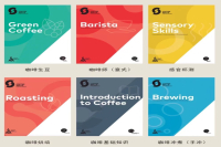 Barista Certification Levels: How to Obtain SCA Coffee Certification, Exam Content, Costs, and Value