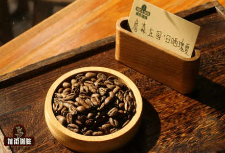Flavor Differences Between Panama Jenson Natural and Washed Geisha Coffee Beans