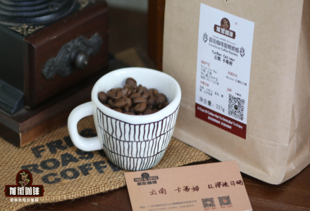 Is Yunnan Small Bean Coffee Good? What's the Difference Between Yunnan Small Bean Coffee and Yunnan Coffee?