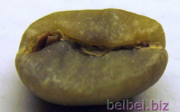 Jamaica Blue Mountain Grade 1 Coffee Origin Introduction, Green Bean Grading, and Jamaica Blue Mountain Estate Beans