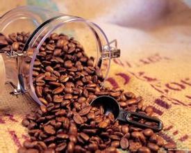 Specialty Coffee Beans Latest Introduction and Information about Brazilian Coffee