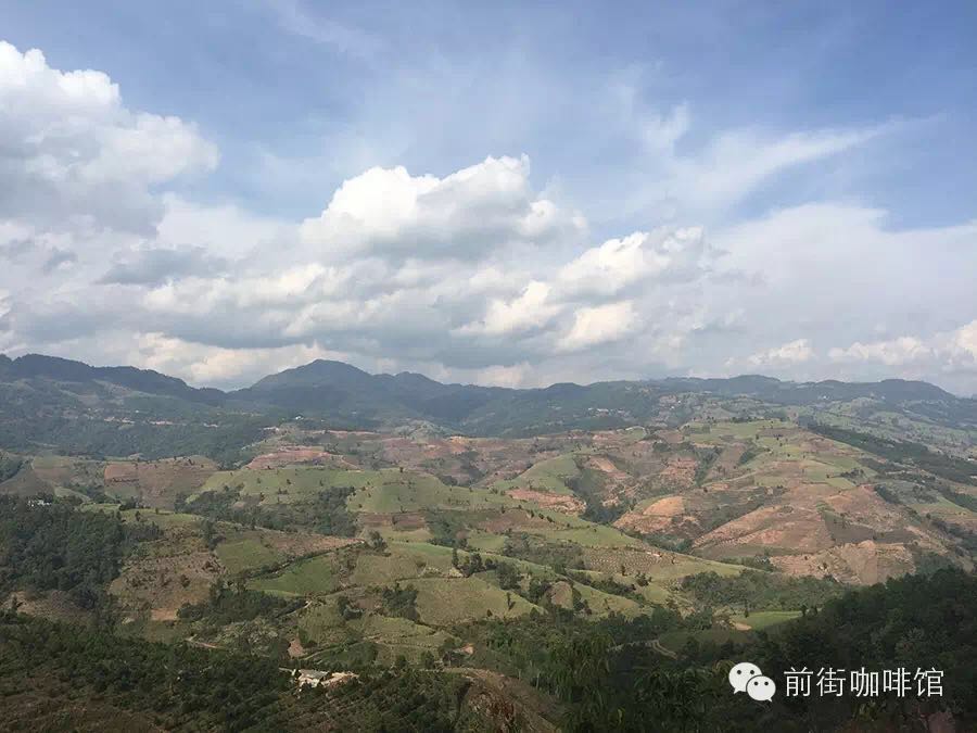 A Journey to Discover Coffee in Yunnan: FrontStreet Coffee's Latest News About Yunnan Coffee