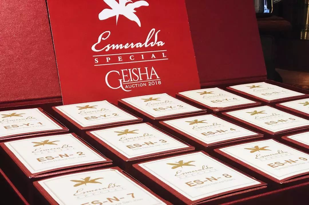 Hacienda La Esmeralda Red Label Geisha | 2018 Auction Geisha, Rare Yeast Anaerobic Fermentation Process