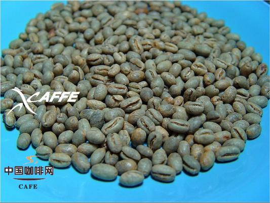 Comparison of five different countries' peaberries