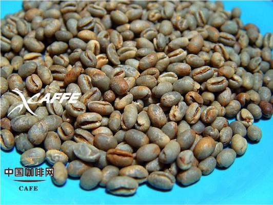 Comparison of five different countries' peaberries