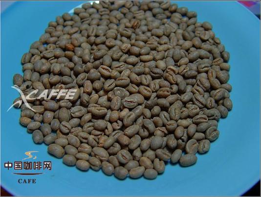 Comparison of five different countries' peaberries