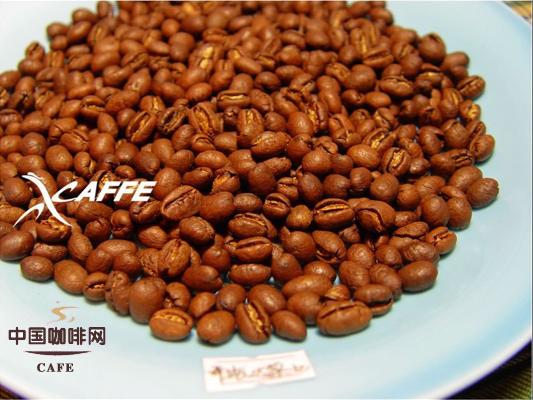 Comparison of five different countries' peaberries