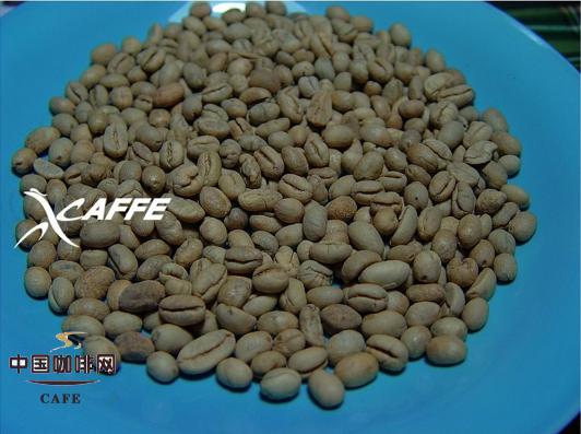 Comparison of five different countries' peaberries