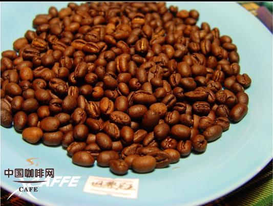 Comparison of five different countries' peaberries