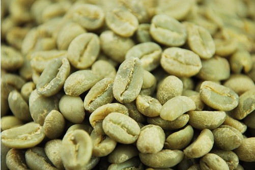 Harar Premium Coffee Bean Details