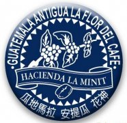 Specialty Coffee Studies - Guatemala Antigua Coffee