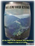 The Beauty of Classic Balance - Flavor and Texture of Jamaican Blue Mountain Coffee Beans? How to Brew Blue Mountain Coffee