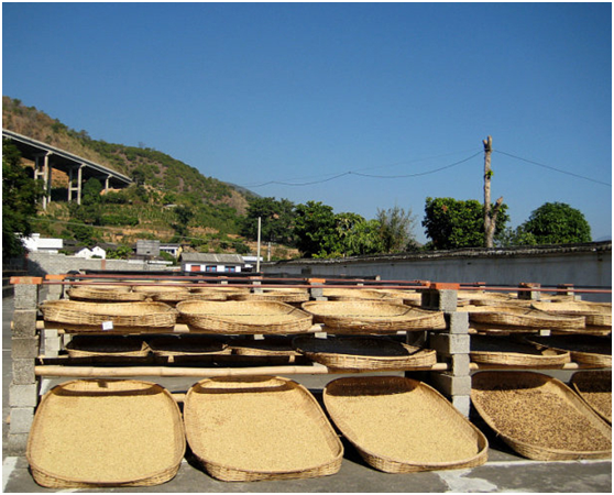 Wet method drying field