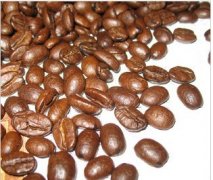 Specialty Coffee Bean Grade Classification: How Are Blue Mountain Coffee Grades Divided?