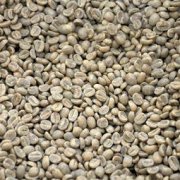 Premium Coffee Beans: World's 6 Famous Green Coffee Varieties