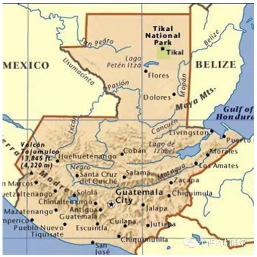 World Coffee Journey (4) Guatemala