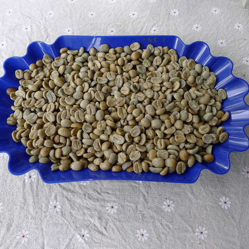 Costa Rica Yellow Honey Processed Roasted Coffee Beans - San Juan Yö Estate Villasarc Variety