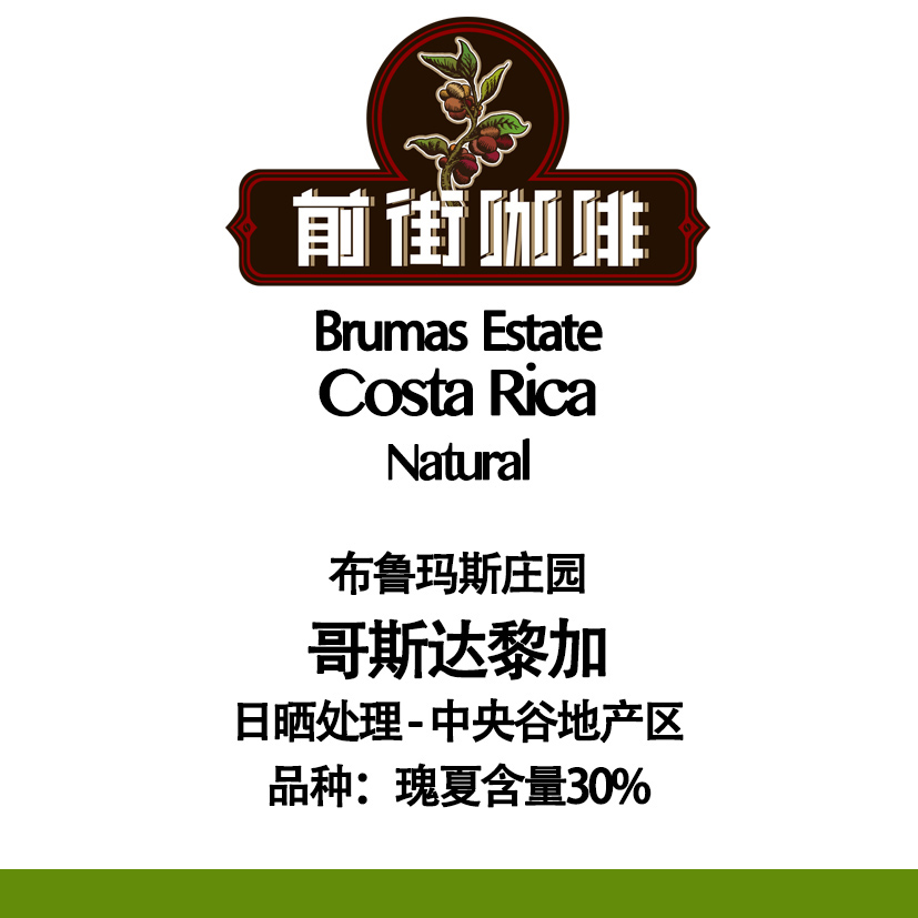 Coffee beans close-up