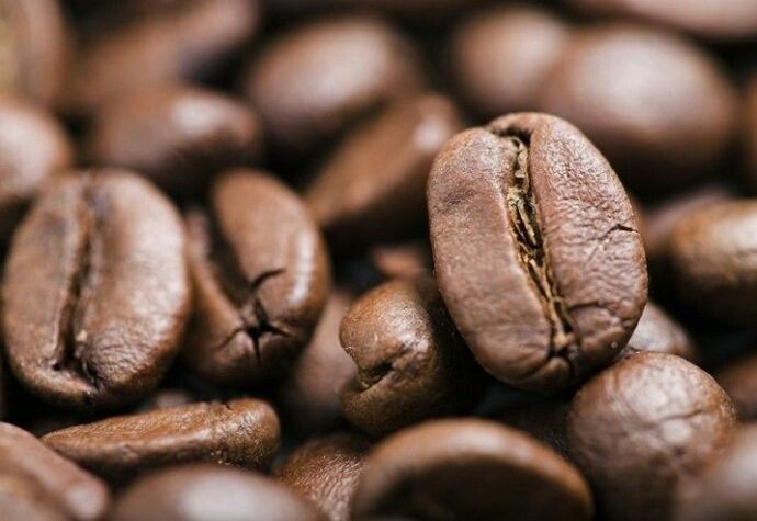 Wallenford Estate coffee beans or plantation