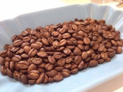 African Kenya Premium Coffee Beans - Flavor Profile and Unique Characteristics of Kenyan Specialty Coffee