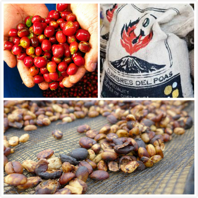 Coffee Bean Processing Methods: Natural Processing - Ethiopia Natural Yirgacheffe Yirgacheffe G1