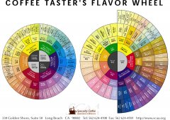 Coffee Flavor Wheel and Flavor Spectrum  Basic Coffee Knowledge  Latest SCAA Specialty Coffee Flavor Wheel
