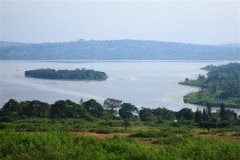 The Flavor of Islands Blue Mountain Coffee Jamaican Premium Coffee