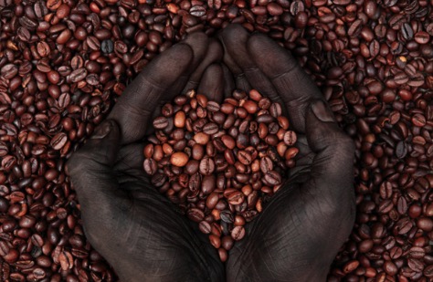 Common Specialty Coffee Beans (Single-Origin Coffee) Knowledge