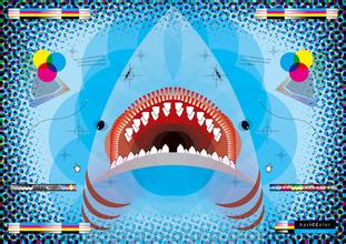 Unique Flavor Profile of Premium Guatemala Coffee Beans: Estate Growing Region Characteristics, Flavor, and Taste Guide