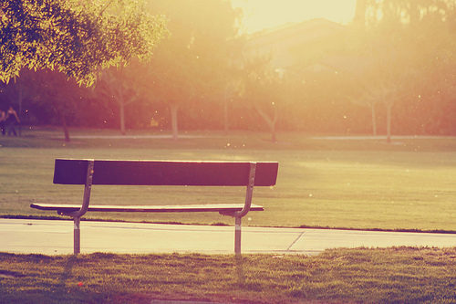 Tanzania Coffee Flavor Description, Varieties, Growing Regions, and Specialty Bean Characteristics