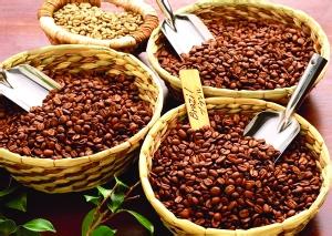 Flavor Description, Taste, Processing Method, Variety, and Grind Setting of Brazil South Minas Coffee Beans