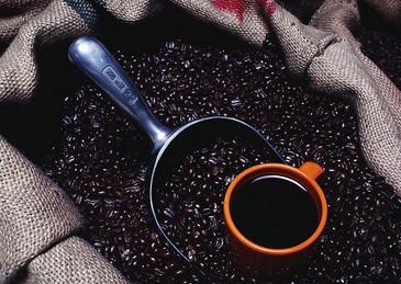 Yirgacheffe Wolka Coffee: Variety Characteristics, Flavor Description, Processing Method, Grind Setting, and Origin