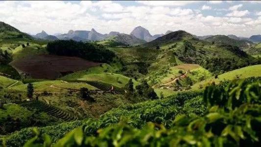 What Water Temperature is Best for Brewing Coffee: Optimal Temperatures for Different Coffee Varieties