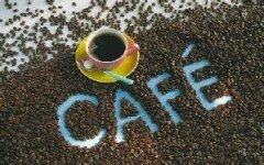 Flavor Profile and Characteristics of Kona Coffee Beans from Hawaii, USA