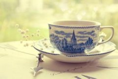 Panama Boquete Mariposa Geisha Premium Coffee Beans: Origins, Development, History and Cultural Overview