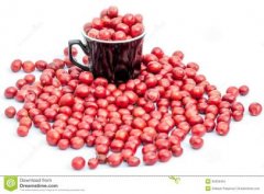 FrontStreet Coffee: Panama Baru Volcano Cupid 30% Geisha Premium Coffee Beans - Flavor Profile and Tasting Notes