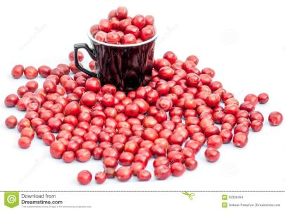 Panama Volcan Baru Series Cupido Coffee