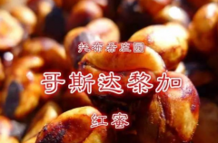 FrontStreet Coffee Costa Rica Red Honey Process Tobosi Estate Caturra Specialty Single Origin Coffee