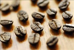Costa Rican coffee beans