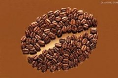 Ethiopia Sidamo Natural Sun-Dried Flower Queen Guji Premium Coffee Beans Grind Size Roast Level Processing Method