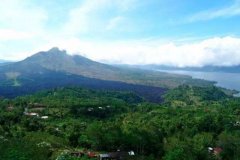 Panama Duncan Estate Boquete Region Natural Process Caturra Premium Coffee Bean Growing Conditions