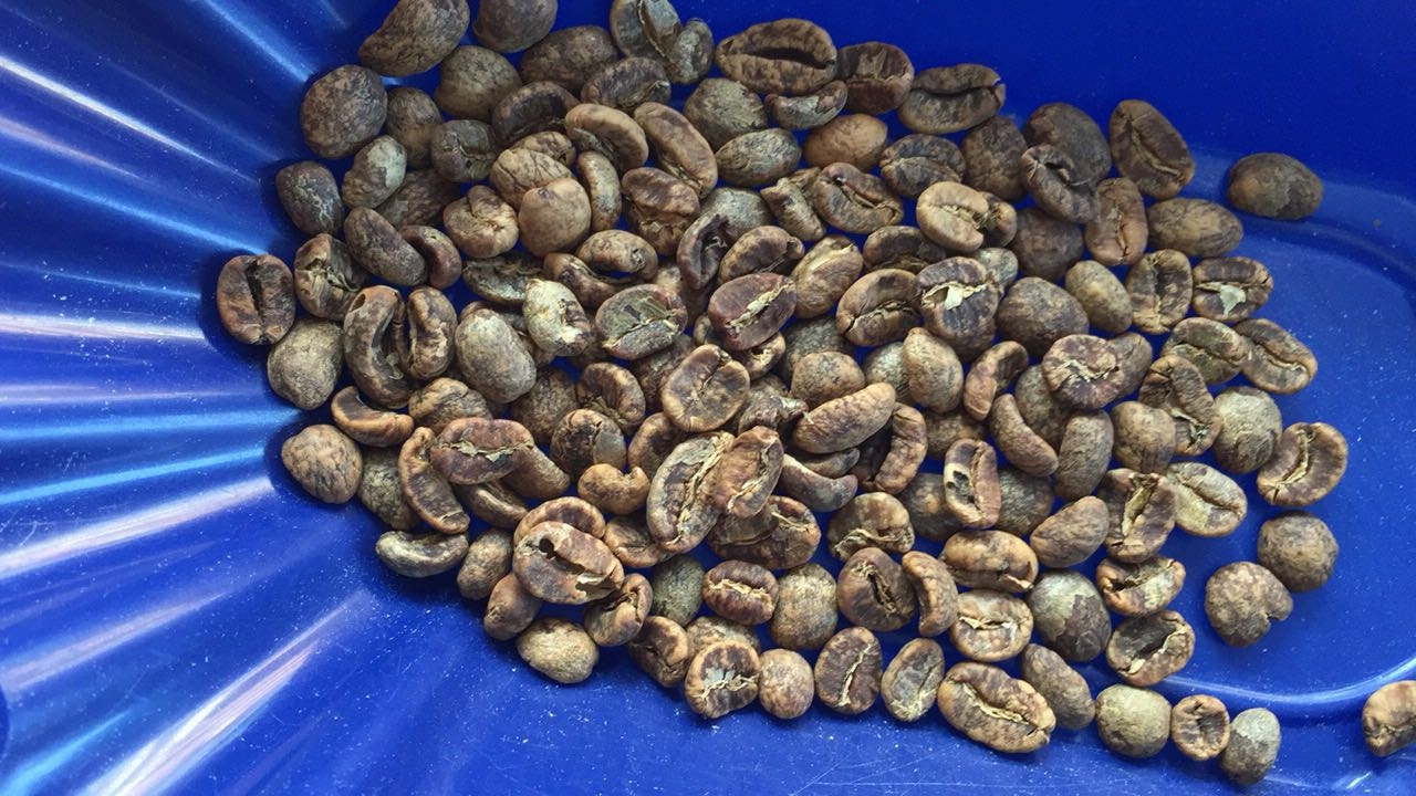 Aged Mandheling Coffee Beans