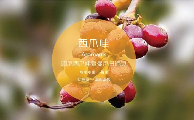 Aromanis Honey Process Coffee Beans