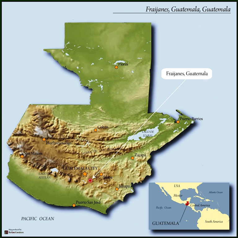 Guatemala Finca Las Delicias Coffee Beans