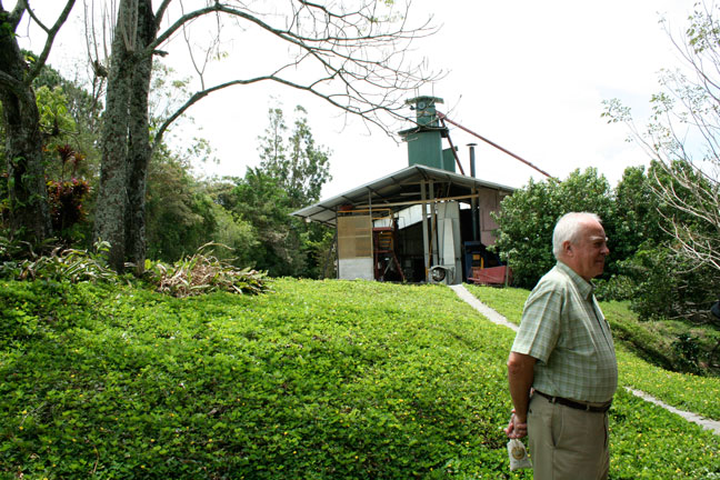 Panama coffee auction scene