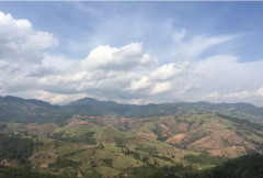 An Introduction to Yunnan Xiaoli Coffee: Huaguoshan Baoshan Typica Premium Coffee Beans - Origin, Development, History, and Culture