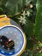 Introduction to Yunnan Small Bean Coffee Huaguoshan Baoshan Typica Premium Coffee Bean Varieties, Cultivation, and Market Prices