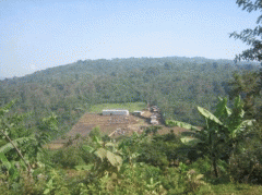 Introduction to Ethiopian Washed Sidamo G1 Shakiso Specialty Coffee Bean Varieties, Cultivation, and Market Price