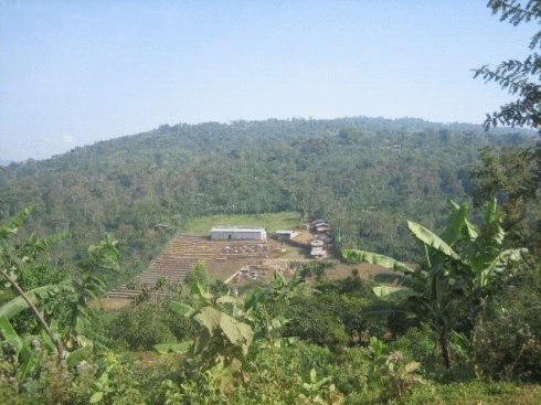 Ethiopian Sidamo Shakisso Coffee